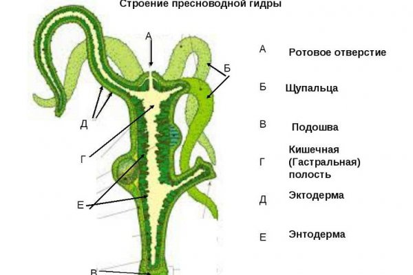 Кракен без тора