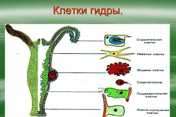 Kraken darknet ссылка