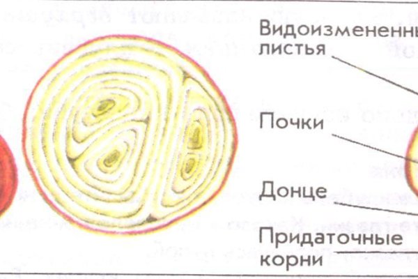 Кракен ссылка стор