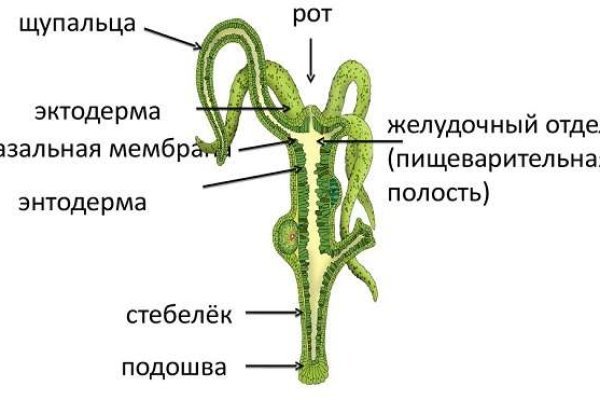 Кракен сайт kr2web