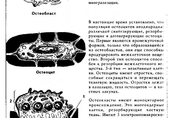 Kra28.cc