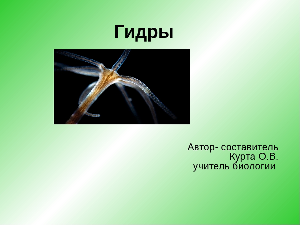 Официальный сайт кракен kraken